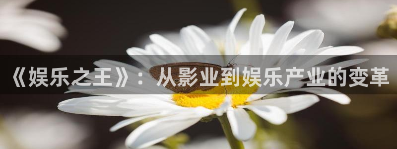 东升国际v8：《娱乐之王》：从影业到娱乐产业的变革