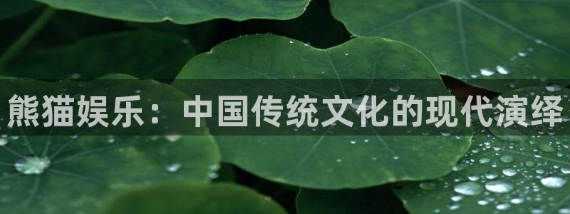 东升国际的网址：熊猫娱乐：中国传统文化的现代演绎